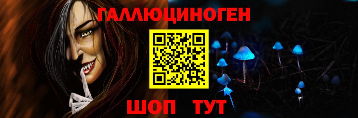 Галлюциногенные грибы Psilocybine cubensis Мурино